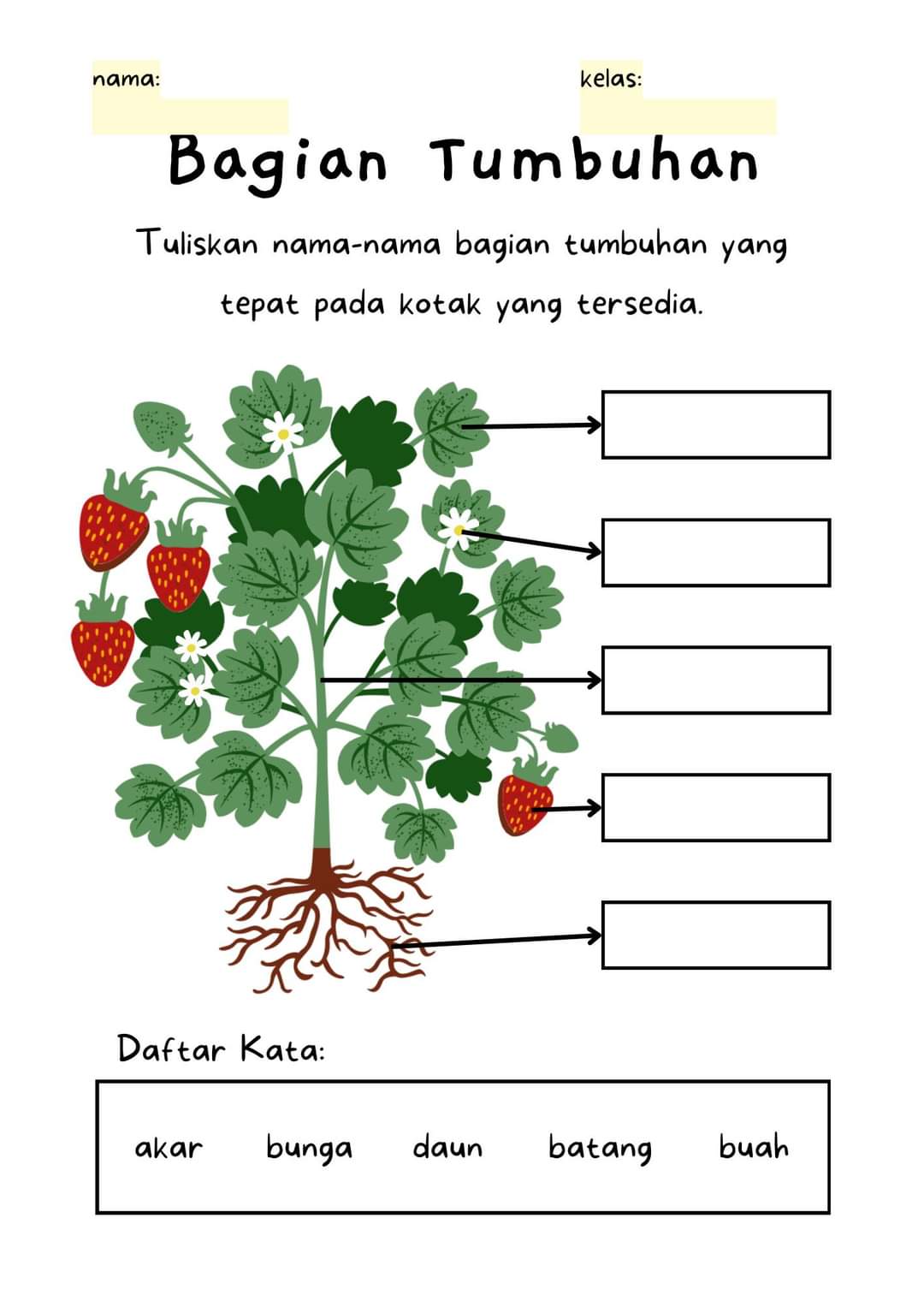 Bagian Tumbuhan