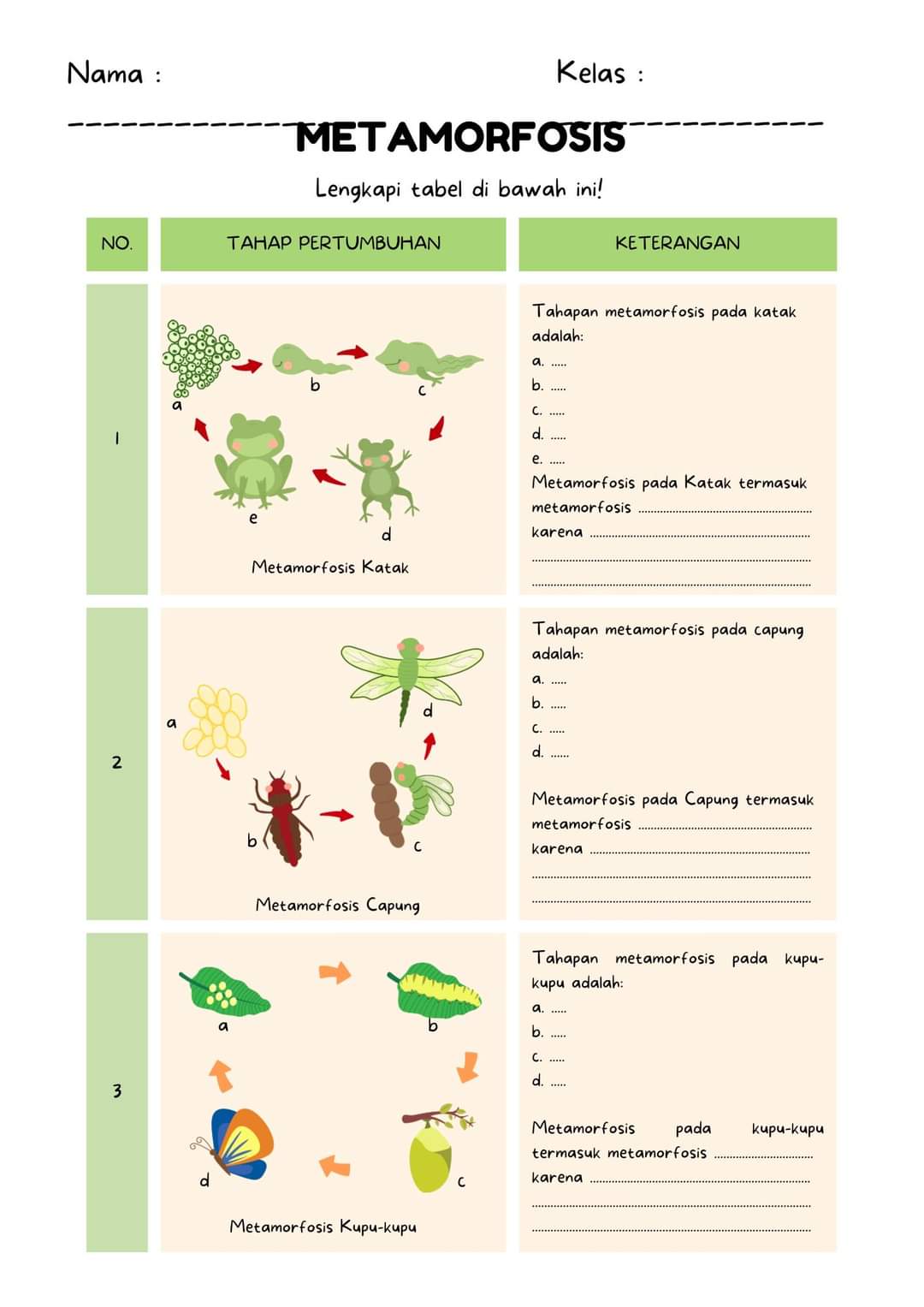 Metamorfosis